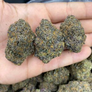 Grape Driver Strain